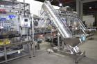 DTM Purefill 2000 Liquid Filling Line w/Pneumatic Scale Plugger and Capper